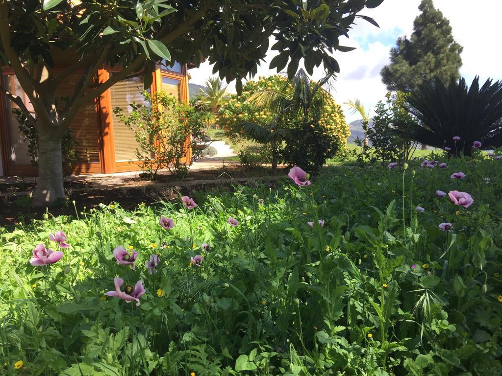 Finca Madrugada Санта-Крус-де-ла-Пальма Екстер'єр фото